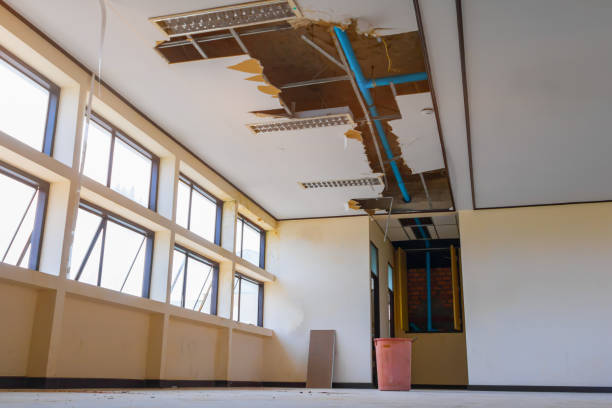 Best Flooded house restoration  in Port Sulphur, LA