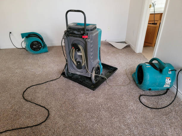 Best Water damage restoration near me  in Port Sulphur, LA