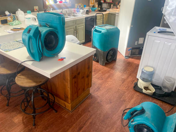 Best 24/7 water damage repair  in Port Sulphur, LA