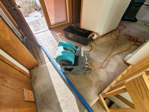 Best Residential water damage restoration  in Port Sulphur, LA