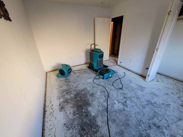 Best Water damage restoration near me  in Port Sulphur, LA