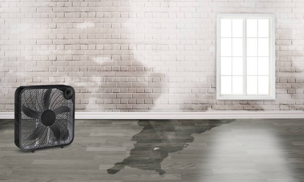 Best Water damage restoration near me  in Port Sulphur, LA