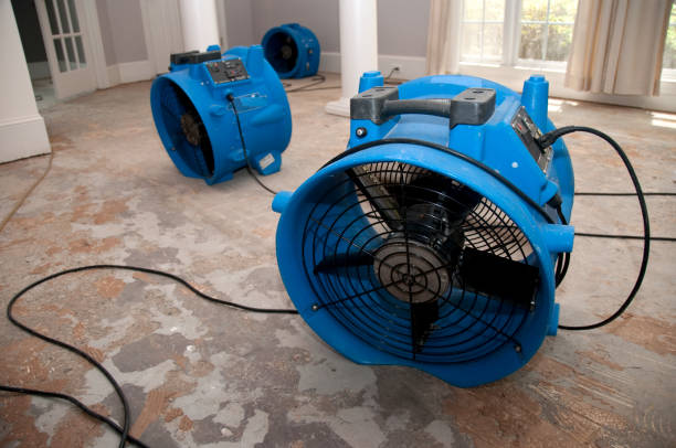 Best Water damage cleanup near me  in Port Sulphur, LA
