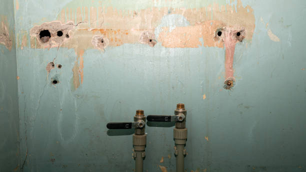 Best Ceiling water damage repair  in Port Sulphur, LA