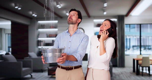 Best Mold removal after water damage  in Port Sulphur, LA